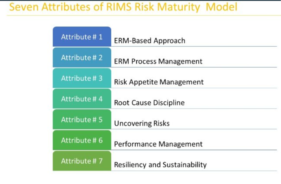 196 Decoding The Rims Risk Management Maturity Model Part Ii